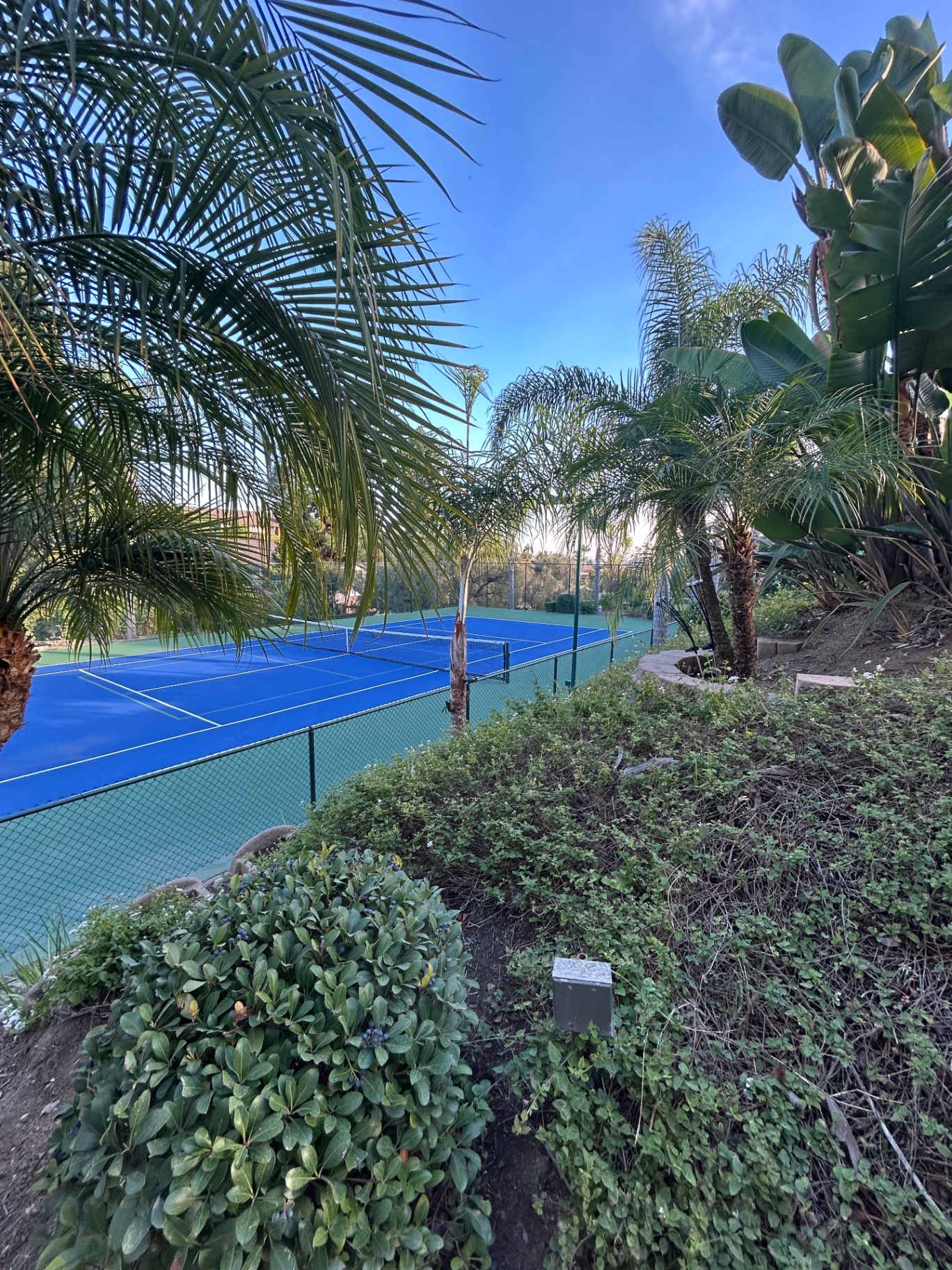 Private tennis court framed by tropical landscaping in Southern California
